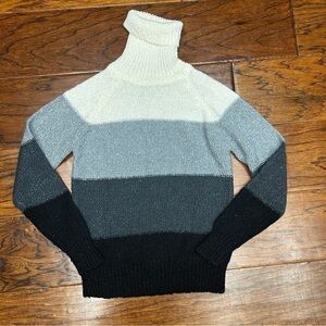 Jeana acrylic colorblock turtle neck sweater